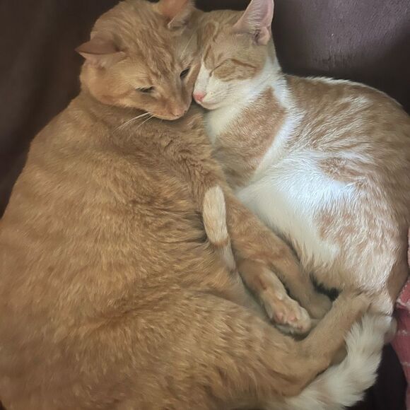 Help me reach 700k I’m at 611k - Picture 7 of 7